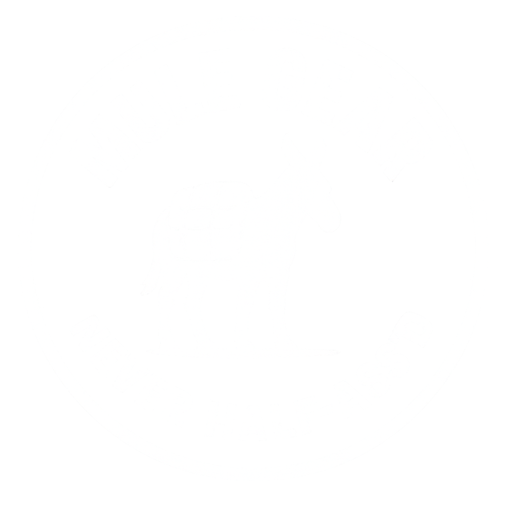 Mule Gear logo - white background